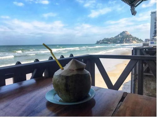 2022年 出境游曙光初現(xiàn)，國(guó)內(nèi)旅游迎來(lái)新機(jī)遇